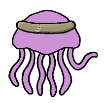 Jellyfish Sailor